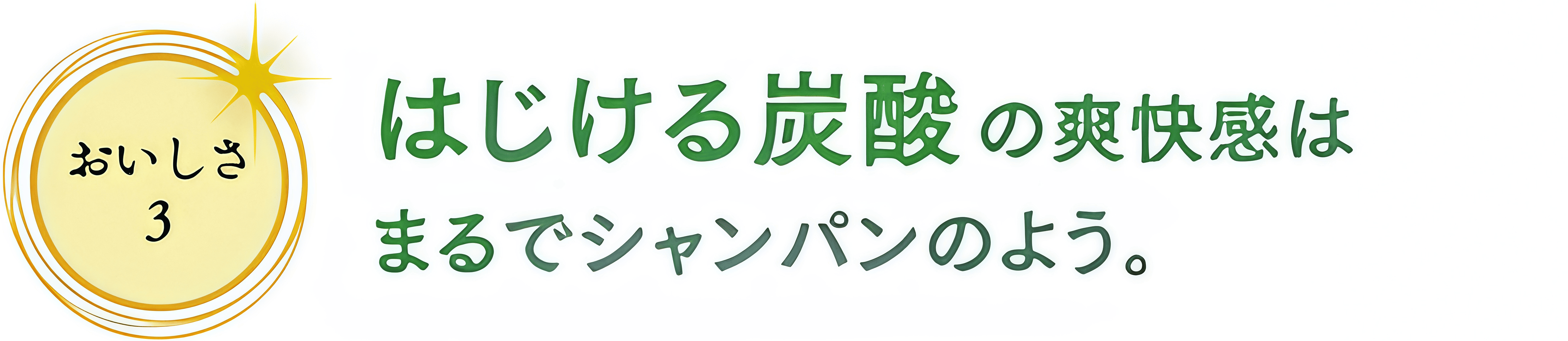 おいしさ3 はじける炭酸の爽快感