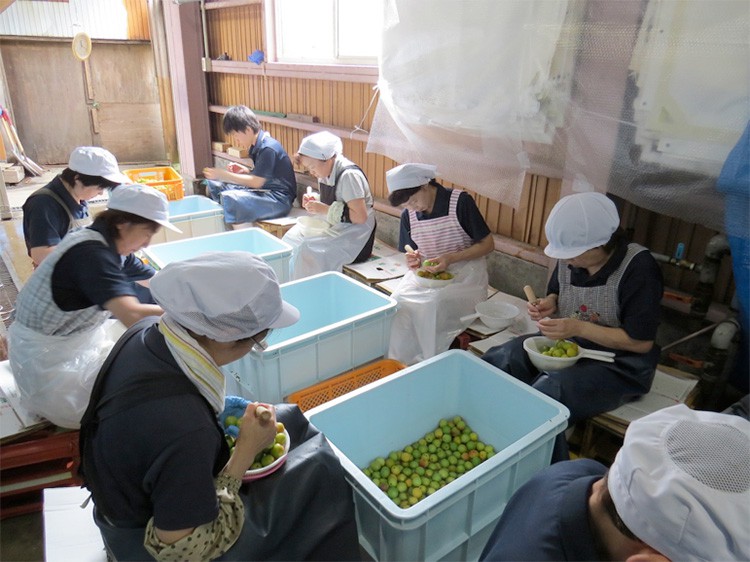 「梅酒造り」始まりました。