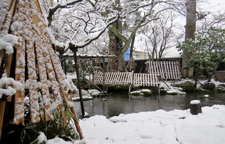 降り積もった雪