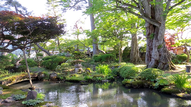 It appears green has finally come back to Akita