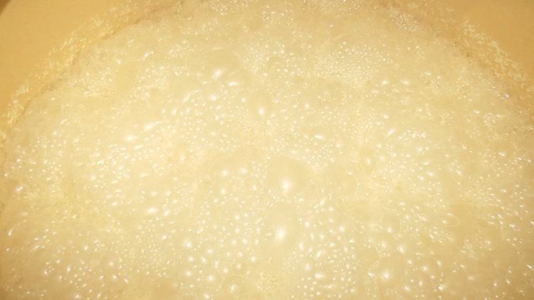 新酒の初搾りが始まりました