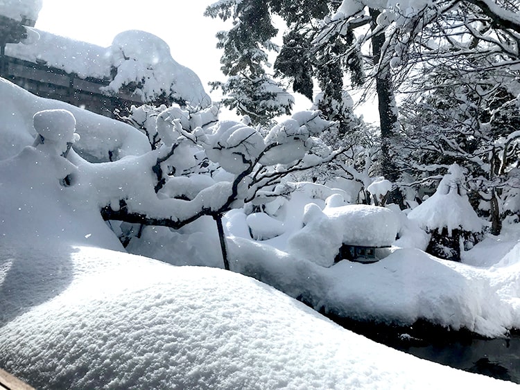 冬の陽光を浴びて
